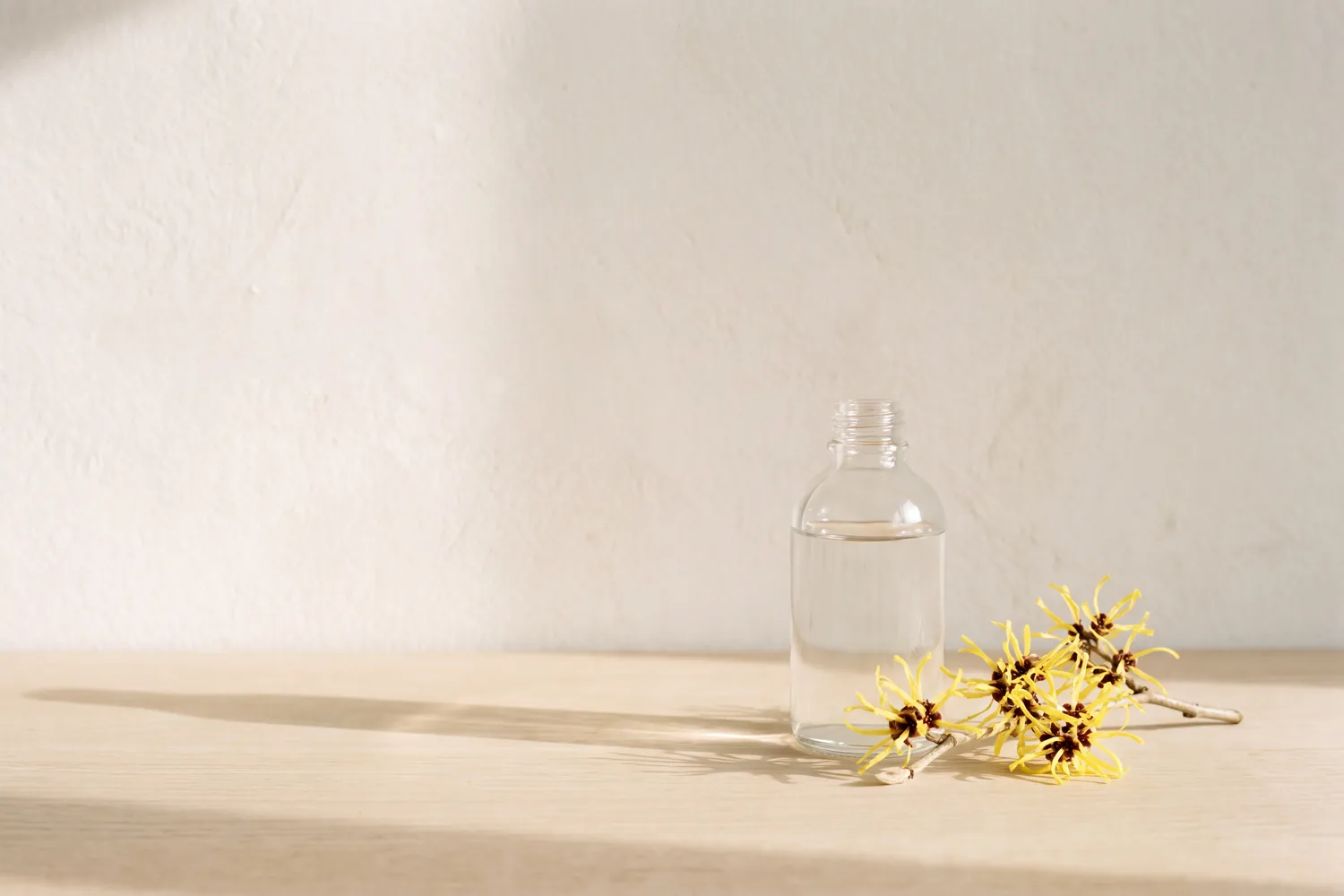 Yellow witch hazel flowers beside a small clear glass bottle of witch hazel water on a pale oak shelf.